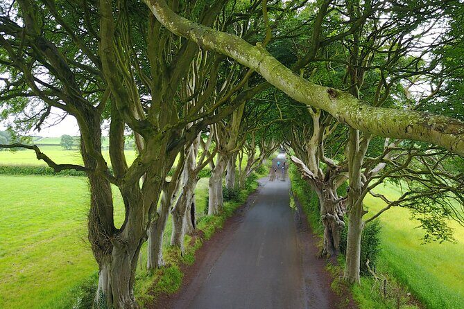 Full-Day Private Giant's Causeway Experience - Carrick-a-Rede rope bridge: 30 metres of “yes, I can” energy