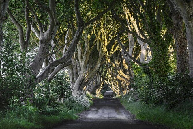 Giant's Causeway and Belfast City Murals Tour inc Game of Thrones Dark Hedges - Key things to know before you go