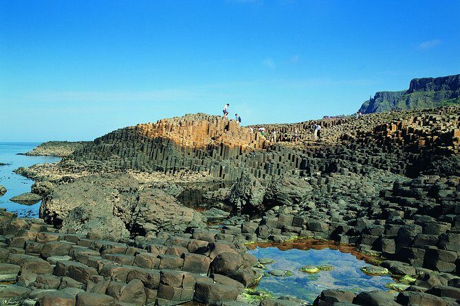 Giant's Causeway and Belfast City Murals Tour inc Game of Thrones Dark Hedges - Dark Hedges and Game of Thrones stops: photos, trees, and short stories