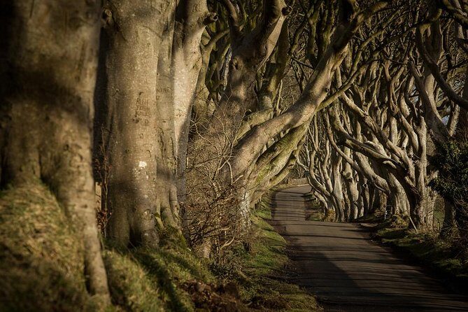 Giant's Causeway and more including Titanic Experience Ticket Tour from Belfast - A Belfast-to-the-Coast day plan that moves, but doesn’t feel frantic