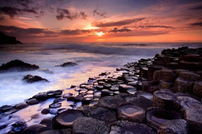 Giant's Causeway Full Day Tour from Belfast - Dark Hedges: the tree tunnel with a Game of Thrones look