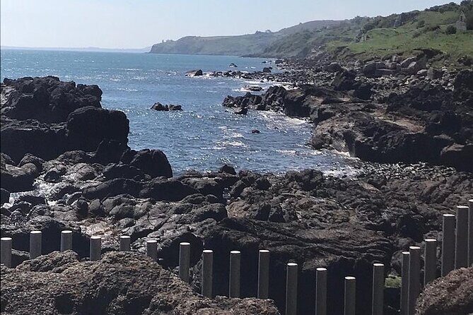 Giants Causeway ~ one stop tour - Key highlights to know before you book