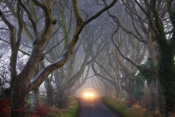 Private Game of Thrones including Giant's Causeway Causeway Coast Rope Bridge - Practical tip: plan your day around comfort, not just sightseeing